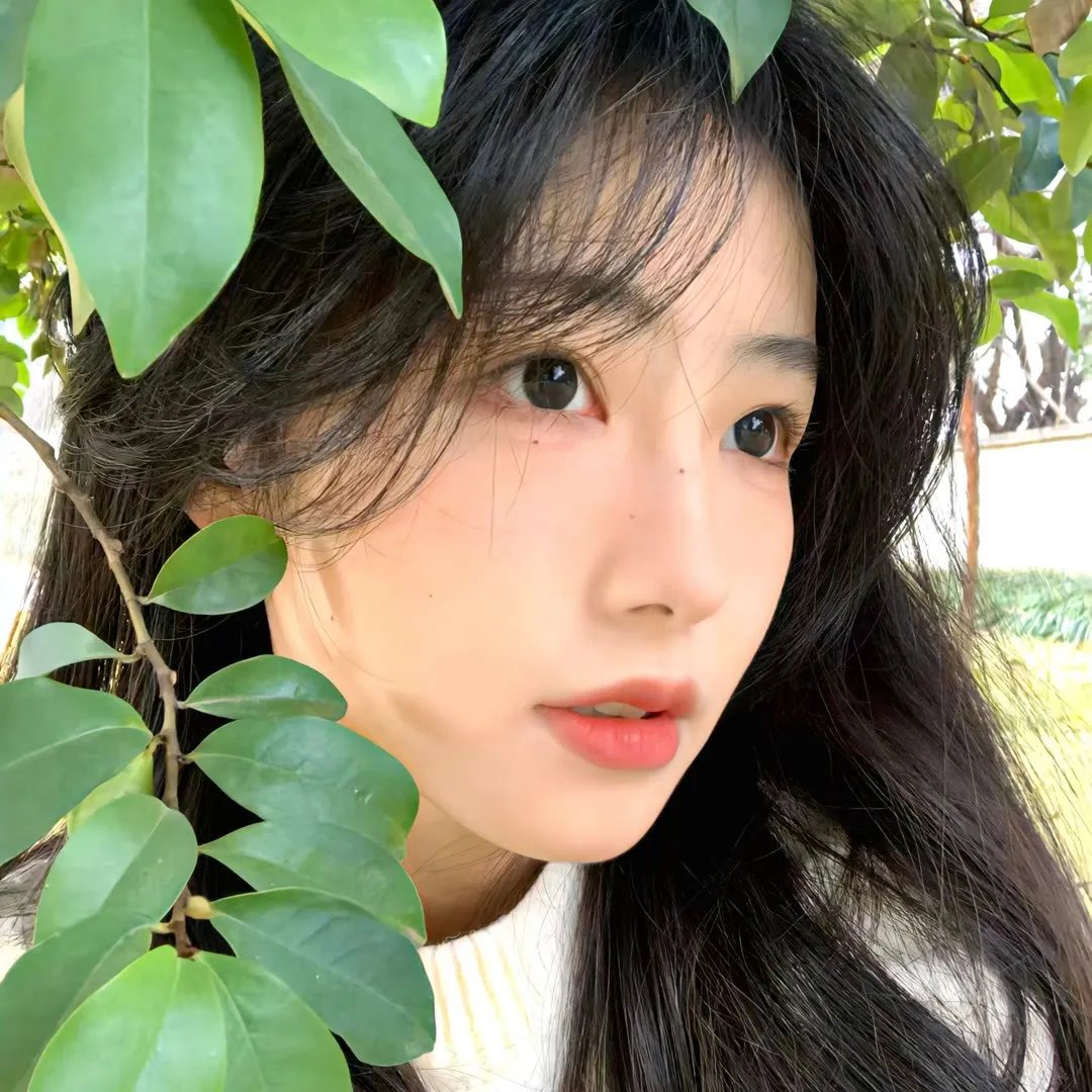元洲街王后